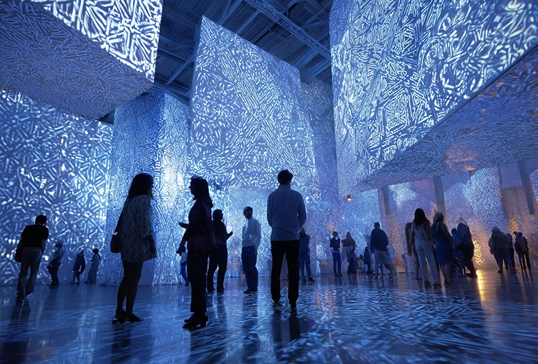 immersive experience exhibition
