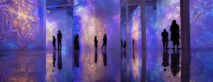people interact with an immersive digital exhibition